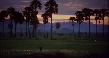 Movie still from “The Killing Fields” (1984), directed by Roland Joffé – A person standing next to a field with trees in the background; Extreme Wide shot, Low angle