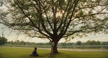 Movie still from “The Killing of a Sacred Deer” (2017), directed by Yorgos Lanthimos – A man and a woman sitting in front of a large tree; Extreme Wide shot, Over the shoulder angle