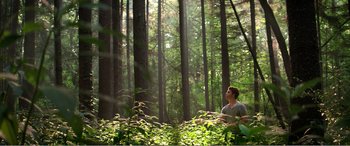 Movie still from “The Kings of Summer” (2013), directed by Jordan Vogt-Roberts – A man standing in the middle of a lush green forest; Wide shot, Low angle