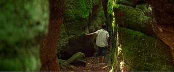 Movie still from “The Kings of Summer” (2013), directed by Jordan Vogt-Roberts – A man walking through a lush green forest; Extreme Wide shot, High angle