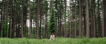 Movie still from “The Kings of Summer” (2013), directed by Jordan Vogt-Roberts – A man standing next to a tree in the middle of a forest; Extreme Wide shot, Low angle