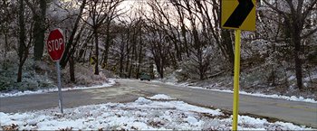 Movie still from “The Lake House” (2006), directed by Alejandro Agresti – A car driving down a road through a forest; Extreme Wide shot, High angle