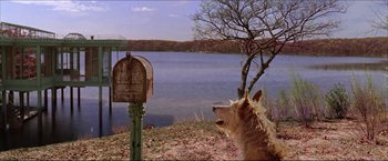 Movie still from “The Lake House” (2006), directed by Alejandro Agresti – A dog sitting next to a mailbox near a body of water; Wide shot, Low angle