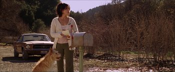 Movie still from “The Lake House” (2006), directed by Alejandro Agresti – A woman standing next to a mailbox with a dog; Medium shot, Low angle