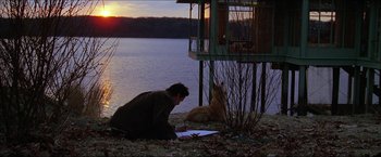 Movie still from “The Lake House” (2006), directed by Alejandro Agresti – A man sitting on the ground next to a dog near a lake; Wide shot, Over the shoulder angle