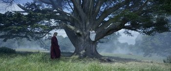 Movie still from “The Legend of Tarzan” (2016), directed by David Yates – Two people standing next to a tree in a field; Wide shot, Low angle