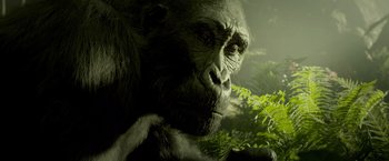 Movie still from “The Legend of Tarzan” (2016), directed by David Yates – A gorilla in a forest; Close Up shot, Low angle