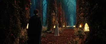 Movie still from “The Lord of the Rings: The Rings of Power” (2022), created by Patrick McKay – Two people are standing in the woods in front of a statue; Extreme Wide shot, High angle