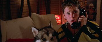 Movie still from “The Lost Boys” (1987), directed by Joel Schumacher – A boy and a dog sitting on a couch; Close Up shot, High angle