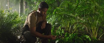 Movie still from “The Lost City” (2022), directed by Aaron Nee – A man kneeling down in the woods looking at plants; Medium shot, Low angle