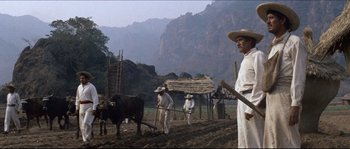 Movie still from “The Magnificent Seven” (1960), directed by John Sturges – A group of men working in a field with cows; Wide shot, Low angle
