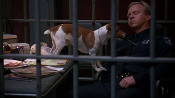 Movie still from “The Mask” (1994), directed by Chuck Russell – A man sitting in a jail cell next to a brown and white dog; Medium shot, High angle