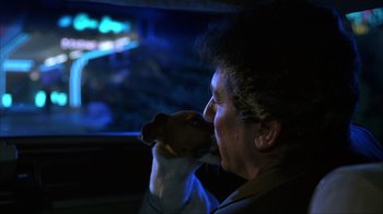 Movie still from “The Mask” (1994), directed by Chuck Russell – A man and a dog in a car at night; Close Up shot, Over the shoulder angle