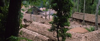 Movie still from “The Mission” (1986), directed by Roland Joffé – Many thatched roofs in the village; Extreme Wide shot, High angle