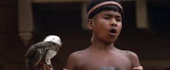 Movie still from “The Mission” (1986), directed by Roland Joffé – A young boy holding an owl in his hand; Close Up shot, Low angle