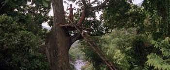Movie still from “The Mission” (1986), directed by Roland Joffé – A man standing on a ladder on a tree; Extreme Wide shot, High angle