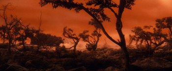 Movie still from “The NeverEnding Story” (1984), directed by Wolfgang Petersen – A group of trees that are standing in the dirt; Extreme Wide shot, Low angle