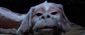 Movie still from “The NeverEnding Story” (1984), directed by Wolfgang Petersen – The face of a white dog; Close Up shot, Low angle