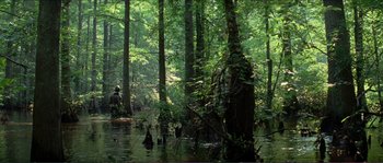 Movie still from “The New World” (2005), directed by Terrence Malick – Two people in a flooded area near trees; Extreme Wide shot, High angle