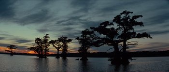 Movie still from “The New World” (2005), directed by Terrence Malick – A body of water that has trees in the water; Extreme Wide shot, Low angle