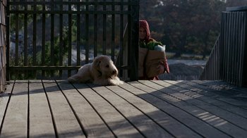 Movie still from “The Normal Heart” (2014), directed by Ryan Murphy – A dog laying next to a woman on a deck; Wide shot, Over the shoulder angle