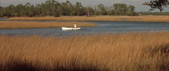 A man in a boat in the middle of a river
