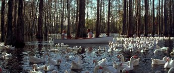 Movie still from “The Notebook” (2004), directed by Nick Cassavetes – A group of people in a boat surrounded by ducks; Wide shot, High angle