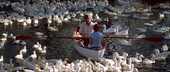 Movie still from “The Notebook” (2004), directed by Nick Cassavetes – Two people are in a row boat surrounded by swans; Wide shot, High angle