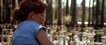 Movie still from “The Notebook” (2004), directed by Nick Cassavetes – A woman sitting in front of a flock of swans; Medium shot, Over the shoulder angle
