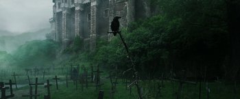 Movie still from “The Nun” (2018), directed by Corin Hardy – A black bird sitting on top of a tree branch; Extreme Wide shot, Low angle