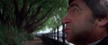 Movie still from “The Omen” (1976), directed by Richard Donner – A man's face with trees in the background; Close Up shot, Low angle