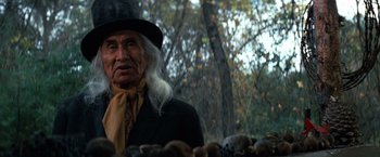 Movie still from “The Outlaw Josey Wales” (1976), directed by Clint Eastwood – An old man with a long white beard wearing a black hat; Close Up shot, Low angle