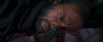 Movie still from “The Outlaw Josey Wales” (1976), directed by Clint Eastwood – A bearded man with a lizard in his mouth; Extreme Close Up shot, Overhead angle