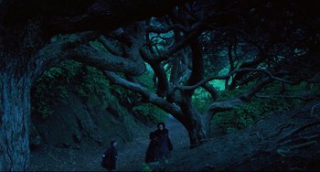 Movie still from “The Piano” (1993), directed by Jane Campion – A couple of people standing under a large tree; Extreme Wide shot, High angle