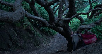 Movie still from “The Piano” (1993), directed by Jane Campion – A woman standing next to a tree in the woods; Extreme Wide shot, High angle