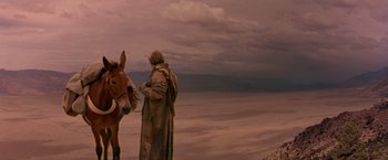 Movie still from “The Postman” (1997), directed by Kevin Costner – A man standing next to a donkey on a beach; Wide shot, Over the shoulder angle