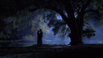 Movie still from “The Princess Diaries 2: Royal Engagement” (2004), directed by Garry Marshall – Two people standing under a large tree at night; Extreme Wide shot, High angle