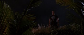 Movie still from “The Punisher” (2004), directed by Jonathan Hensleigh – A man standing in a field at night; Medium shot, Low angle