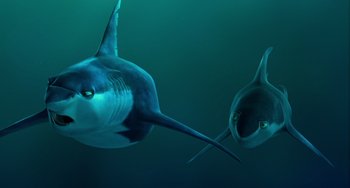 Movie still from “Shark Tale” (2004), directed by Vicky Jenson – A couple of sharks are swimming in the water; Close Up shot, High angle