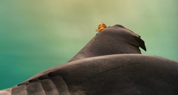 Movie still from “Shark Tale” (2004), directed by Vicky Jenson – A man is sitting on top of a large rock; Extreme Wide shot, High angle