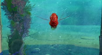 Movie still from “Shark Tale” (2004), directed by Vicky Jenson – A red fish is swimming in a pool of water; Extreme Close Up shot, Overhead angle