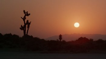 Movie still from “The Right Stuff” (1983), directed by Philip Kaufman – The sun is setting in the desert with a tree in the foreground; Extreme Wide shot, Low angle