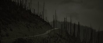 Movie still from “The Road” (2009), directed by John Hillcoat – A road going through the middle of a forest at night time; Extreme Wide shot, High angle