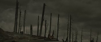 Movie still from “The Road” (2009), directed by John Hillcoat – A forest of dead trees on a cloudy day; Extreme Wide shot, Low angle