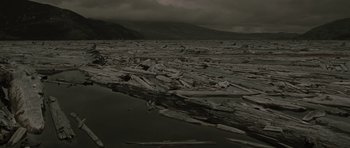 Movie still from “The Road” (2009), directed by John Hillcoat – A black - and - white photo of a body of water; Extreme Wide shot, High angle