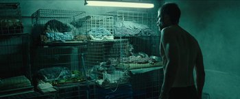 Movie still from “The Rover” (2014), directed by David Michôd – A man standing next to a cage filled with animals; Medium shot, Over the shoulder angle