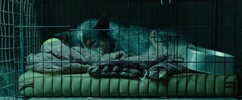 Movie still from “The Rover” (2014), directed by David Michôd – A dog in a cage sleeping on a bed; Wide shot, High angle