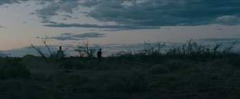 Movie still from “The Rover” (2014), directed by David Michôd – A person standing in a field with a sky background; Extreme Wide shot, Over the shoulder angle