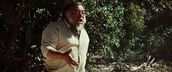 Movie still from “The Ruins” (2008), directed by Carter Smith – An old man with a beard and a mustache is talking; Medium shot, Low angle