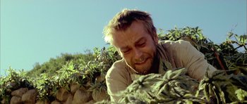 Movie still from “The Ruins” (2008), directed by Carter Smith – A man is looking down at a plant; Close Up shot, Low angle